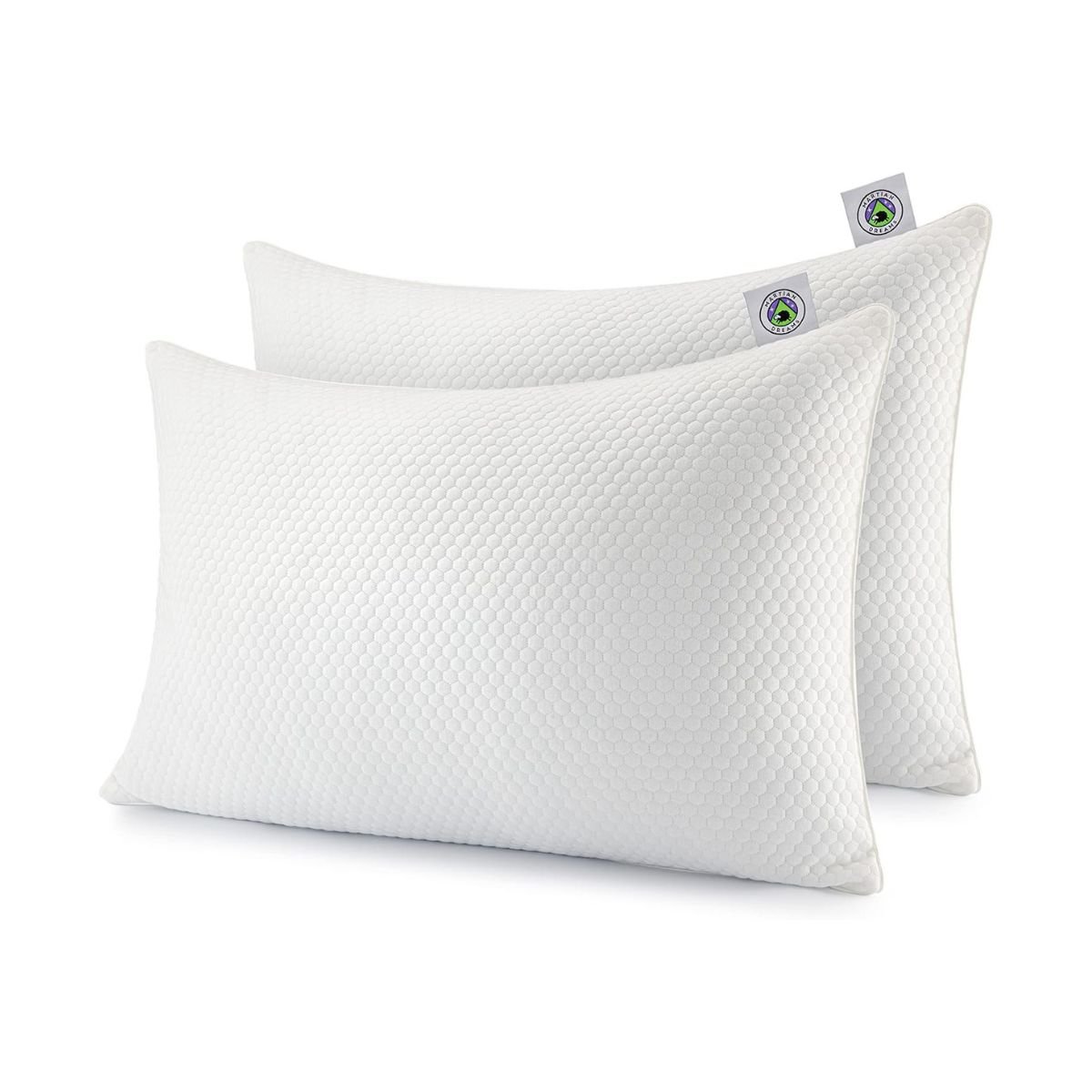 Best Memory Foam Pillows 2026